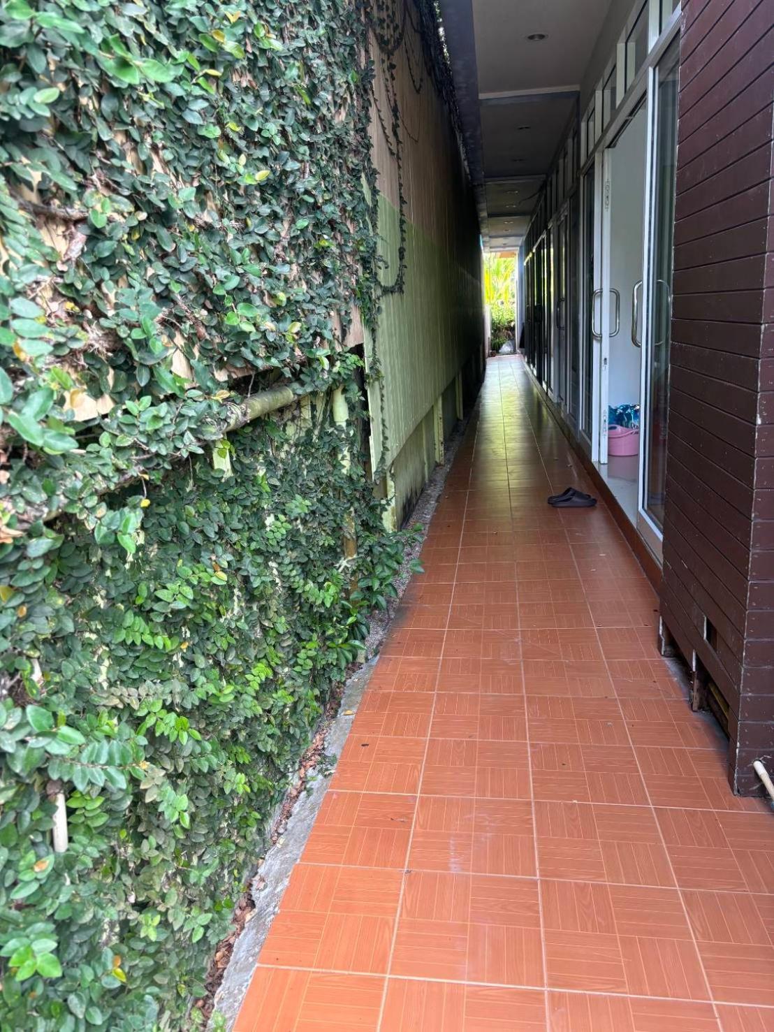 隆恩帕岸岛旅馆酒店 外观 照片